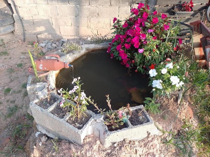 Chacara Chiafarelli Konuk evi São Roque Dış mekan fotoğraf